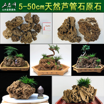 Natural fine absorbent stone Sheung Shui stone Rough stone Reed pipe stone Wheat pipe stone Plant fossil rockery bonsai ornaments