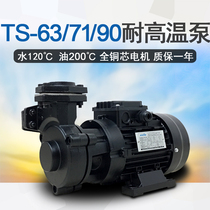 High temperature heat transfer oil circulating pump hot oil pump 380V three-phase TS-63 71 80 100 mold temperature machine water pump TSR90
