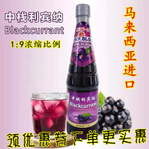 Black currant juice concentrated in the stack of Lebina Malaysia imported milk tea beverage shop commercial grape juice thick pulp 1L