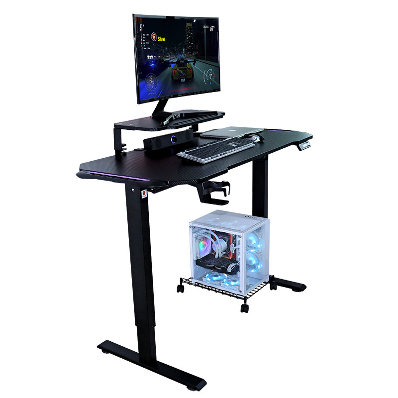 Dual-Motor Electric Standing Desk