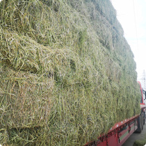 Jingjing brand domestic alfalfa hay 20kg suitable for zoo alpaca horse horse giraffe cattle and sheep edible pasture