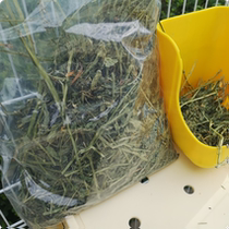 Imported US Purple Flower Clover Grass Feed Net Weighs one kg Rabbit Dried Grass Rabbit grain Supplies