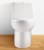 HEGII HEGII ultra-thin water tank water-saving toilet seat HC0169PTSS1