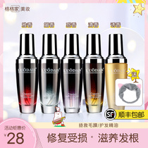  Gege Jiaruo Dai Shi essential oil hair care repair hair scales curly hair hydration anti-frizz fragrance long-lasting fragrance