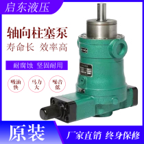 Qidong high pressure pump 10 25 40 63 80 160YCY 250YCY14-1B axial piston pump hydraulic
