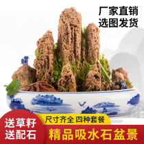 Natural suction waterstone bonsai Customized upper water stone false mountain original stone micro landscape made of stone ornamental stone ornamental small pendulum piece