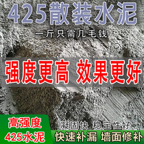 Bulk ten Catty Cement High Strength 425 washroom Water Watertight Wall cracks Speed Dry Terrace Masonry Wall