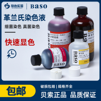Besobikman Biogram Gram Dyeing Liquid Kit HB8278 Qingdao Haibo Bacterial Stain bottle