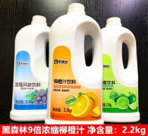 Fresh Black Forest Concentrated Juice Orange Beverage Concentrated Juice High Power Orange Juice 9 Times Concentrated Juice 2 2kg