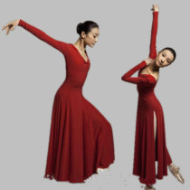 Tan Yuanyuan Carmen Modern Ballet Dance Dress I and Ballet Modern Dance Dress Performance Costume Performance Auto Show Clothing