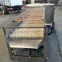 Parallel brush oyster cleaning machine high pressure spray automatic large commercial Dandong sea oyster cleaning equipment