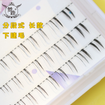 Dream Deer Fake Eyelash Under Eyelash Fake Eyelash Woman Supernatural Single Cluster Sectional Long FD06