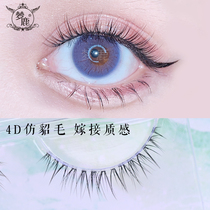 Dream deer (D206)false eyelashes female high-end 4D monofilament transparent stem eyes extended supernatural simulation