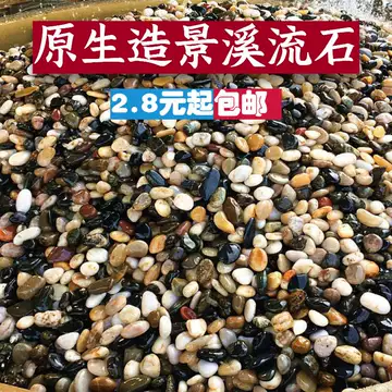 寄居蟹石头-寄居蟹石头促销价格、寄居蟹石头品牌- 淘宝