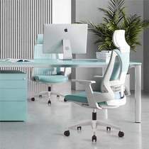 Simple modern ergonomic office chair Home study computer chair Staff staff swivel chair Lumbar back can be raised and lowered