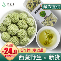 Green Rose Tea Tibet Wild Super Tibetan Green Rose 500g Yinxue Flower Snow Flower