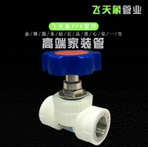 Single and double wire lifting shut-off valve gate valve 4 minutes 20 6 minutes 25 1 inch 32ppr water pipe fittings valve spool