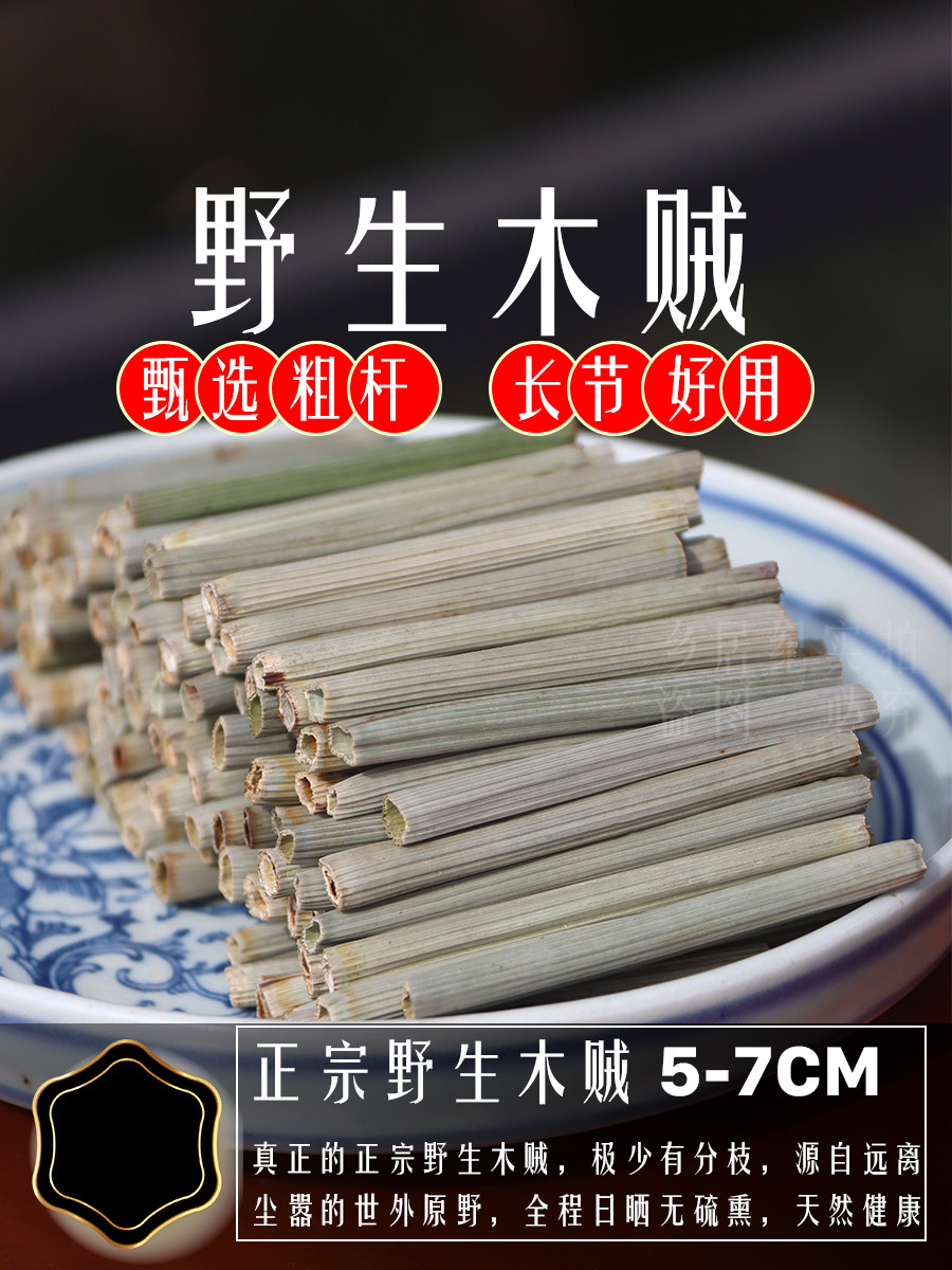 筆管榕的栽培照護方法, image size:900x1200