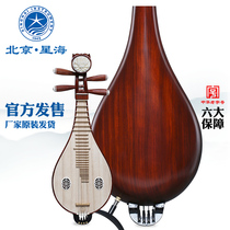 Xinghai Liuqin Musical Instrument Tingshi Guyi Sumu Material Copper Fine-tuning Flower Blossom Rich Headwear Liu Qin 8413