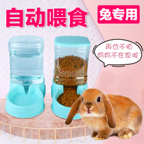 Rabbit Automatic Feeder Large Capacity Drinking Rabbit Grain Feeding Water Feeding Basin Anti-Overturning Pet Small Rabbit Eating Bowl