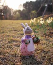 Stick needle wool knitting doll Letis Bunny translation illustration Pure text tutorial Chinese version explanation description