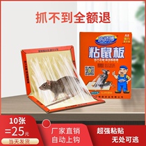 Master Chen sticky mouse board super strong home big mouse paste board strong glue mouse artifact a nest end