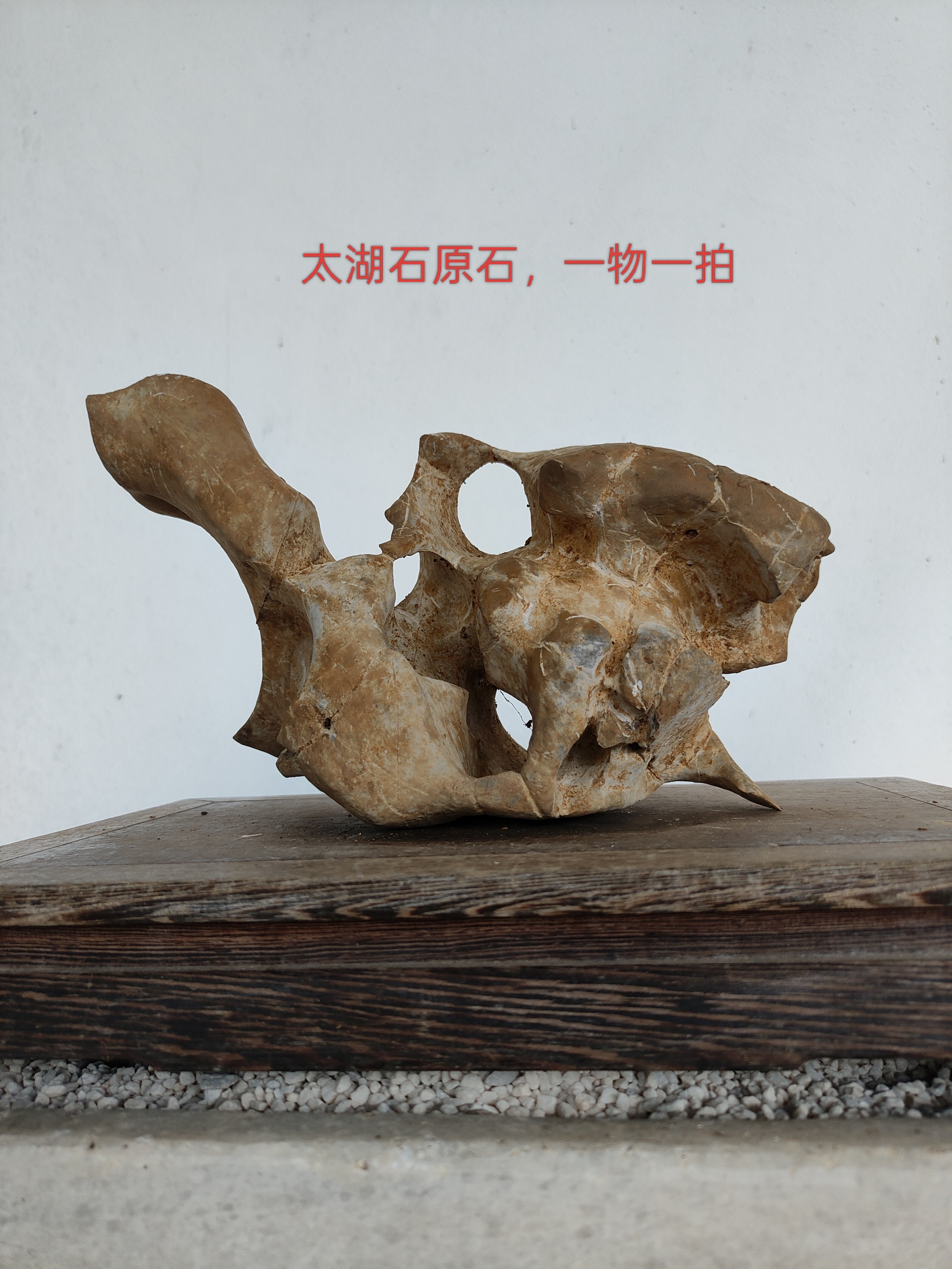 广西天然墨石太湖石-广西天然墨石太湖石促销价格、广西天然墨石太湖石