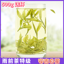 Anji White Tea 2021 Rain Extra Rare White Tea Canned Alpine Tea 500g
