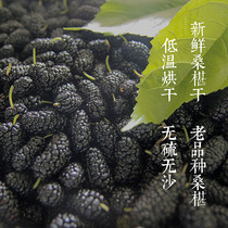 Four corners of the mountain black mulberry dry buy 3 get 1 free to add no sulfur sand Mulberry dried fresh mulberry dry on fire sleep is not good