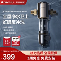Grid Force Front Filter Home Full House Tap Water Backwash Water Purifier Central Water Purifier WTE-QZBW04