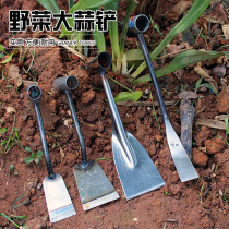 Garden gardening household small shovel planting flowers agricultural planting vegetables garlic digging wild vegetables special tools to catch the sea artifact