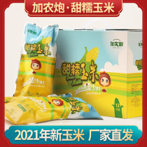 2021 Inner Mongolia cannon Sweet glutinous corn 8 or 12 gift boxes non-GMO childrens favorite
