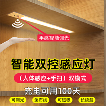 Intelligent dimming dual control human body sensor light with charging led wireless kitchen wardrobe shoe cabinet Strip