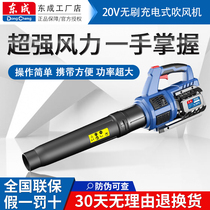 Dongcheng 20V Brushless rechargeable blower blower hair dryer industrial-grade powerful soot blower lithium battery snow dust collector