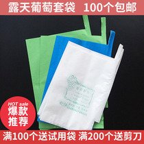 Grape bag Special paper bag Insect-proof rainwater-proof disease-proof fruit bag set grape paper bag Open-air grape bag