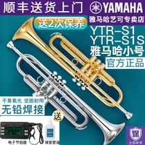 Yamaha trumpet YTRS1 S1S Brass Down B tone Adult children beginner entry level Professional playing Bb tone