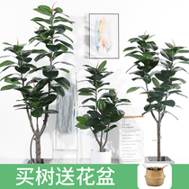 Simulation plant rubber tree home model room indoor living room floor large green plant potted decorative ornaments