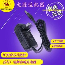 Audio Charger 9v 2A power supply speaker universal 15v Lever audio square dance DC power cord video machine