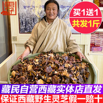 Tibet wild Ganoderma lucidum Nyingchi wild red Zhi dry goods Whole red ganoderma lucidum wild whole branches A total of one pound