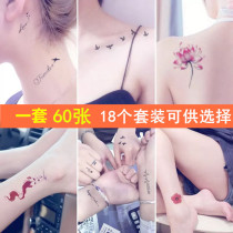 Niche tattoo stickers private parts 2021 female waterproof long-lasting new tattoo pattern advanced dark 3D lenticular stickers