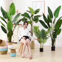 Simulation green plant traveler banana indoor potted large-scale bionic plant fake loose-tail sunflower living room decoration decoration floor tree