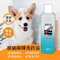 Australian spicy medicine bath malase pet cat dog moss B dermatitis fungus mite pus dandruff shower gel