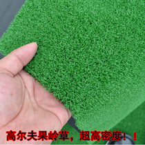Artificial lawn kindergarten special mat real turf laying fake lawn encryption artificial lawn