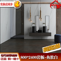 Marco Polo tile living room background wall 800*2400 rock board CSN24018 24008 24010 24040