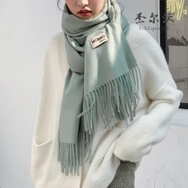 New imitation cashmere scarf 2021 scarf womens autumn and winter Joker Korean long warm shawl solid color scarf women