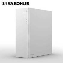 Kohle Reeve Kitchen Water Purifier Home Straight Drinking Water Filter Impurities Water Purifier Faucet 80021T