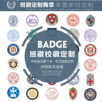Xingnai embroidery badge School uniform class uniform embroidery flower badge armband trademark school emblem Team logo Company LOGO customization