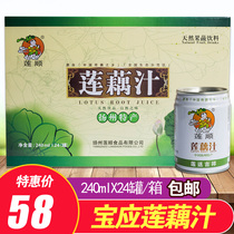 Yangzhou Baoying specialty Lianshun lotus root juice vegetable juice beverage vegetable juice whole box 240ml * 24 cans Special