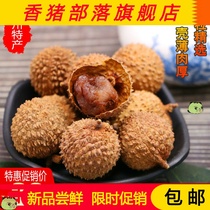 Premium lychee dried cinnamon flavor new fresh dried litchi core small meat thick non-non-nuclear Gaozhou specialty dry goods