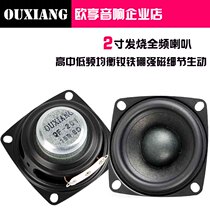 2 inch horn 2 inch full frequency horn high power High School bass balance neodymium iron boron strong magnetic details vivid